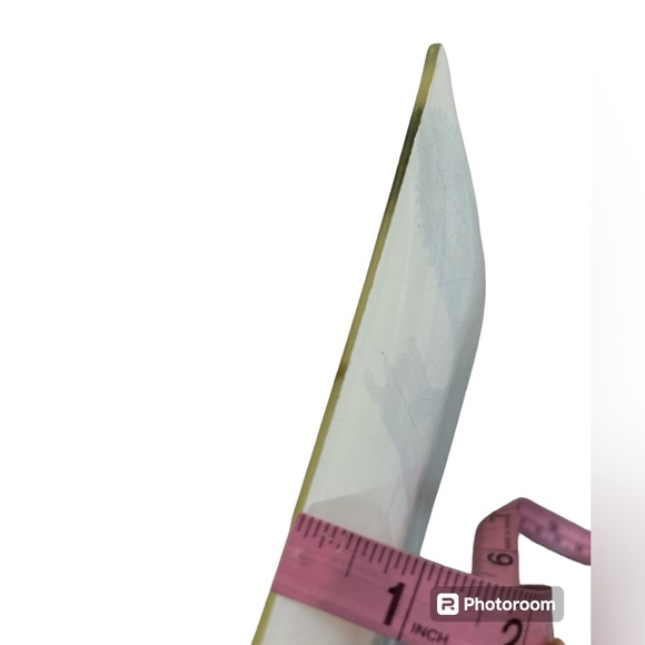 Pottery Barn Decorative Plate Camaleon Reptile Green 6.5”X10” Glass Art Decor - Picture 7 of 7